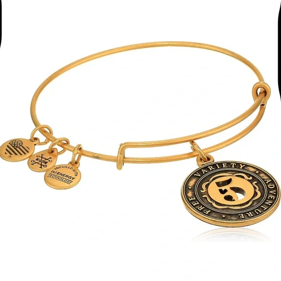 Alex And Ani Replenishment 19 Numerology Number Five Charm Bangle Bracelet - Picture 1 of 2